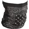 Zan Headgear Paisley Fleece Lined Motley Tube 1 Zan Headgear Paisley Fleece Lined Motley Tube -Bicycle Sale Shop 350 9559